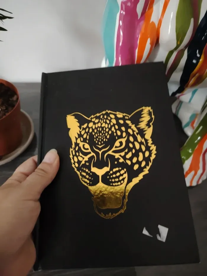 Petit cahier - photo numéro 2