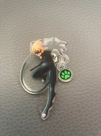 Chat noir dans miraculous