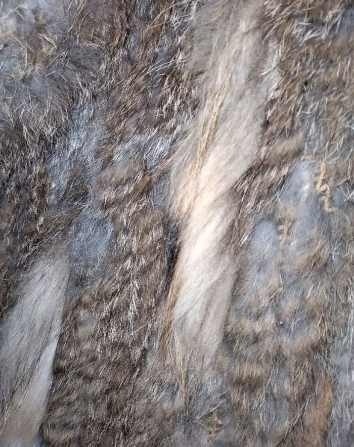 Fourrure - photo numéro 3