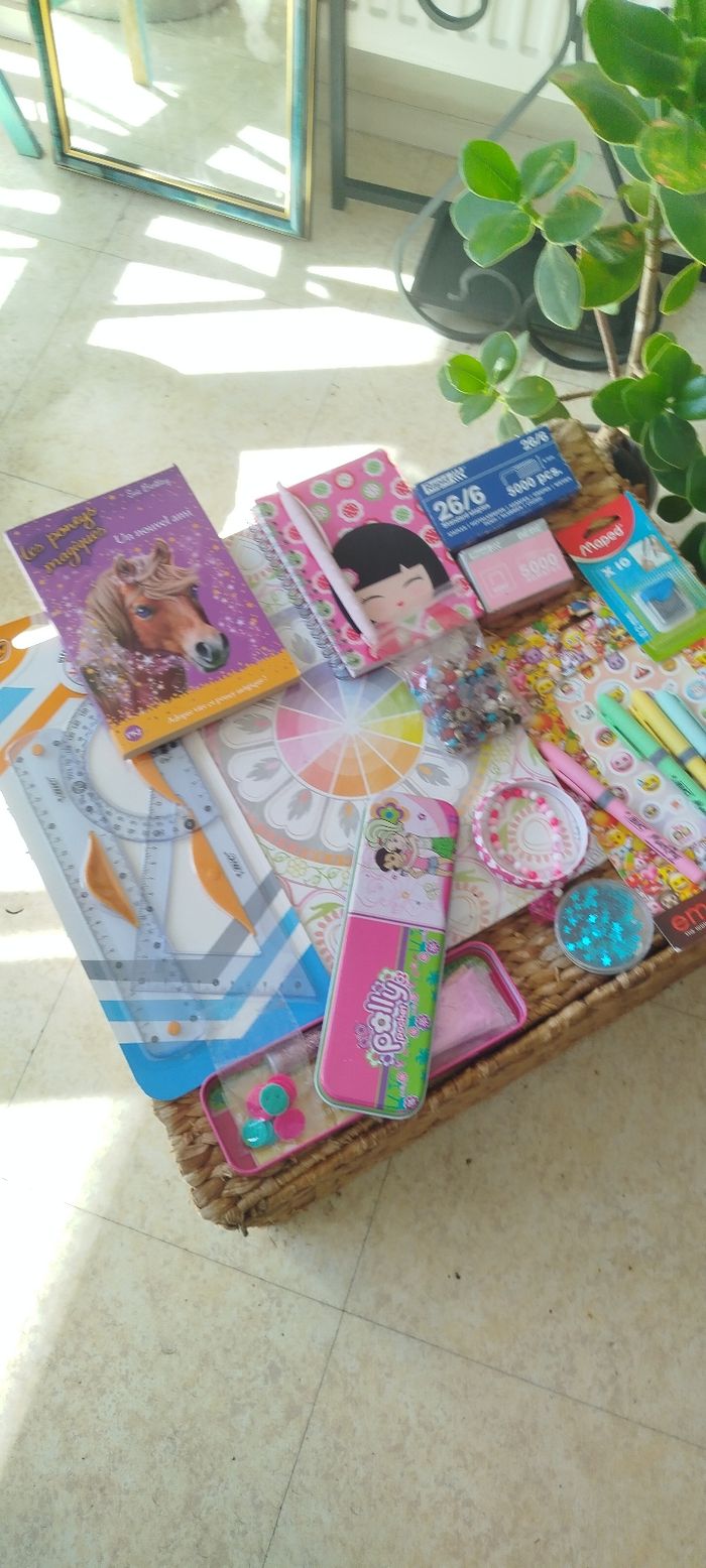 Lot fournitures scolaires pour enfants 🍍 - photo numéro 4