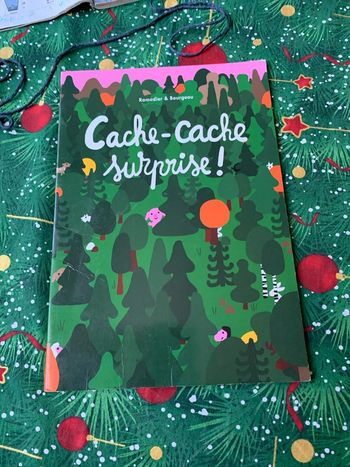 Cache cache surprise