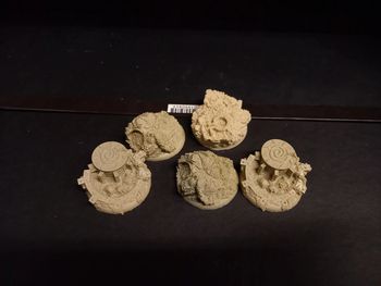 5 socles résine 40mm scibor warhammer dnd wargame chaos