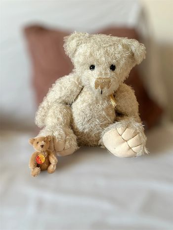 Grand ours Emmy bär
