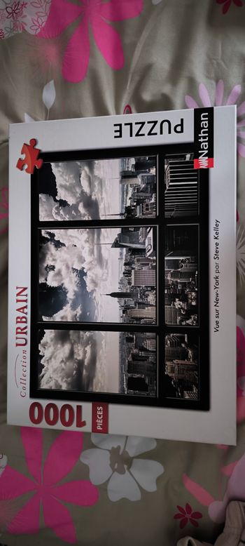 Puzzle vue de New York 