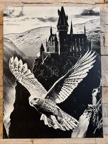 Tableau Edwige survolant Poudlard de Harry Potter en toile 30x40cm
