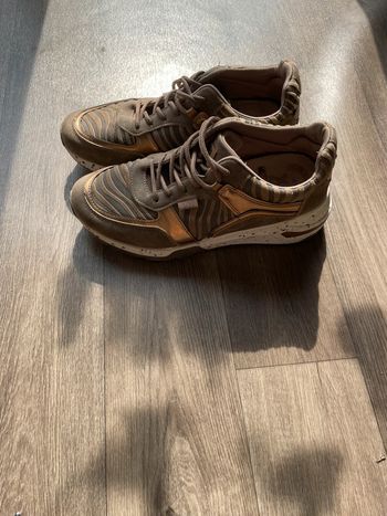 Basket zèbre 41 XTi