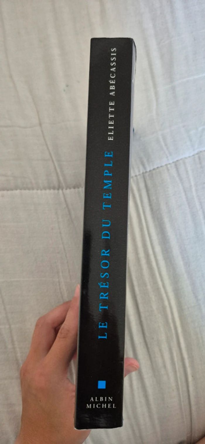 Livre / roman le trésor du temple de Eliette Abecassis - photo numéro 2