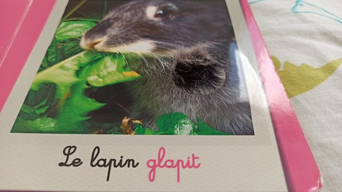 Lot livres à lire et à toucher - photo numéro 4