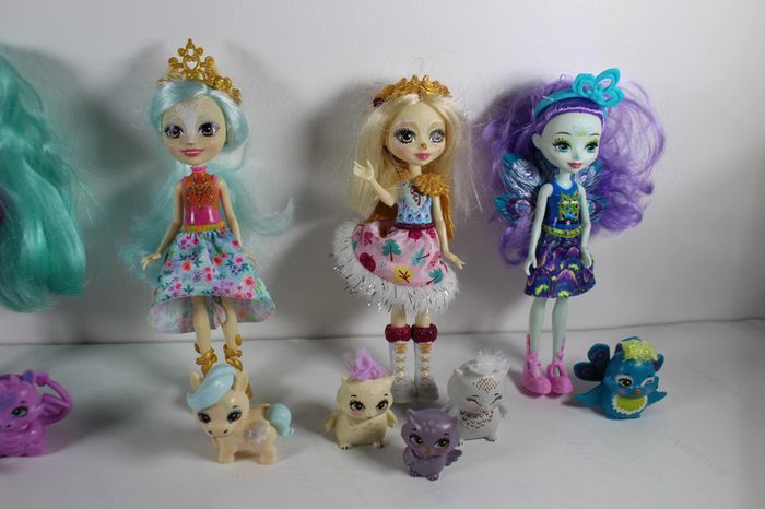 Enchantimals Lot de 5 avec leurs animaux - photo numéro 4