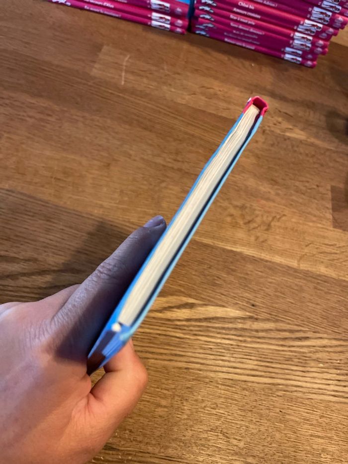 Livre La bibliothèque Rose Miraculous Votez Marinette ! Numéro 9 - photo numéro 5