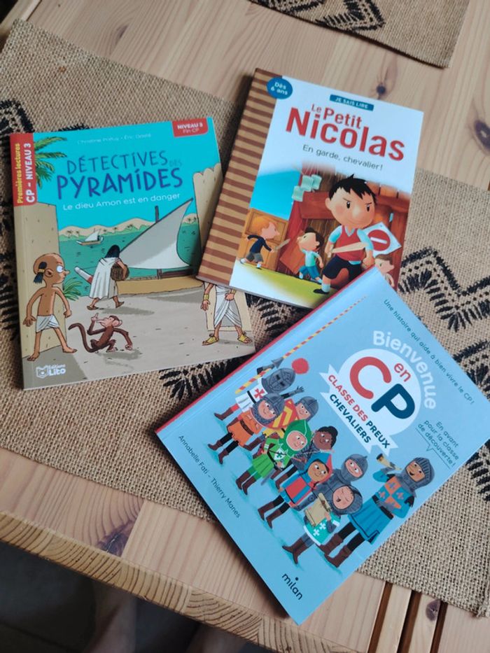 Lot livre de cp