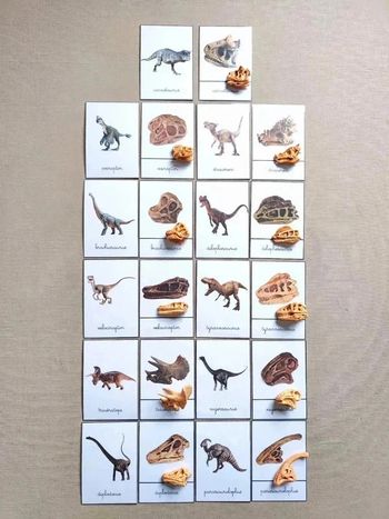 Kit nomenclatures des dinosaures avec crânes Montessori