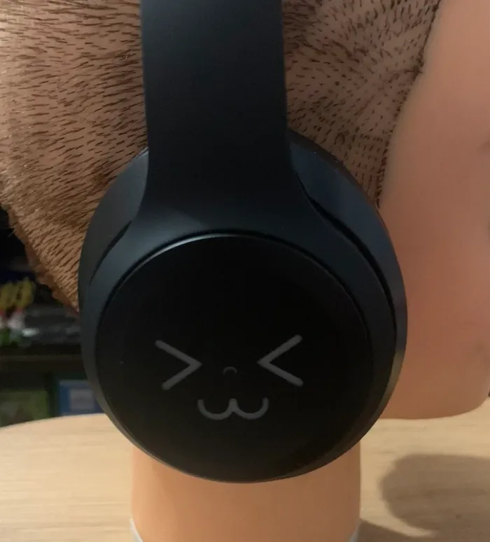 Casque - photo numéro 4