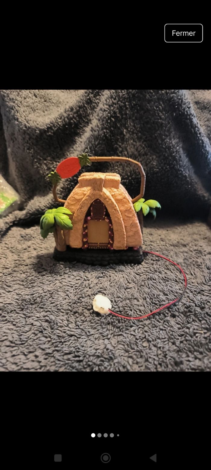 Mini maison Animator's Disney ( Vaïana ) - photo numéro 2