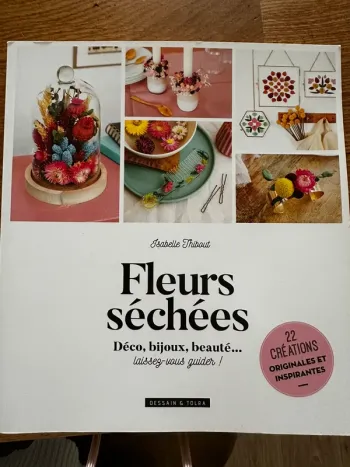 Livre loisirs créatifs