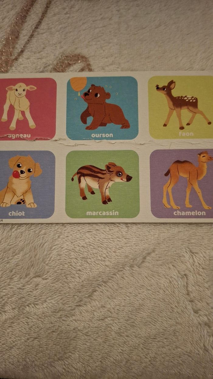 Loto des bébés animaux - photo numéro 2