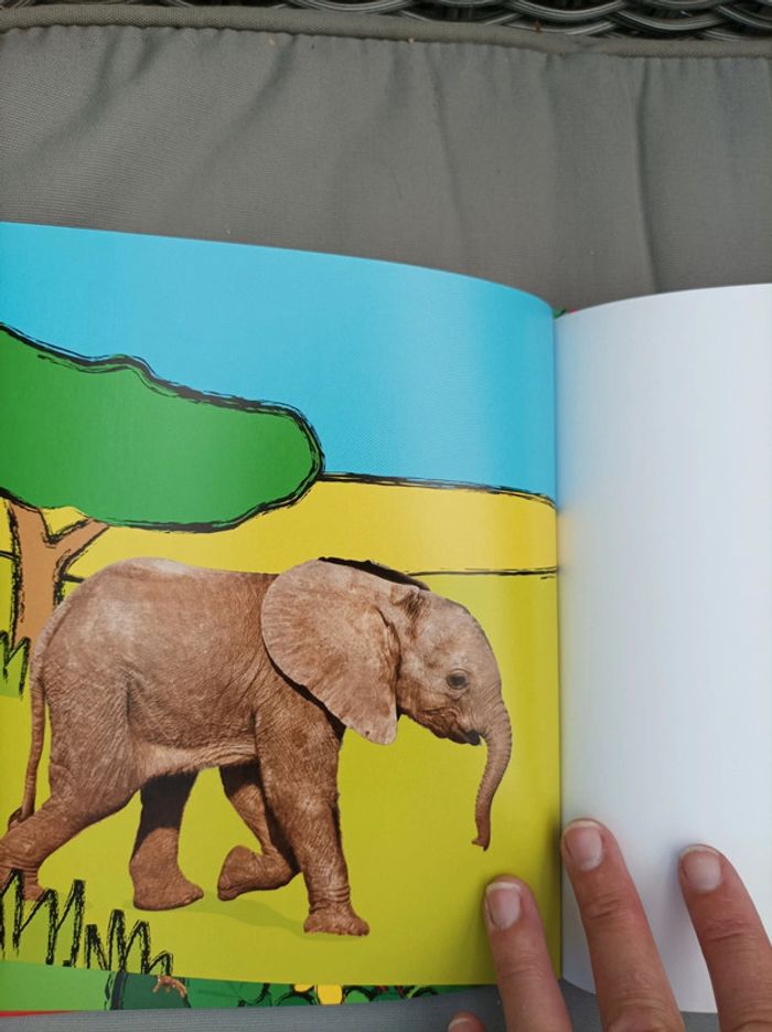 Livre " devine qui est..bruyant" neuf - photo numéro 13