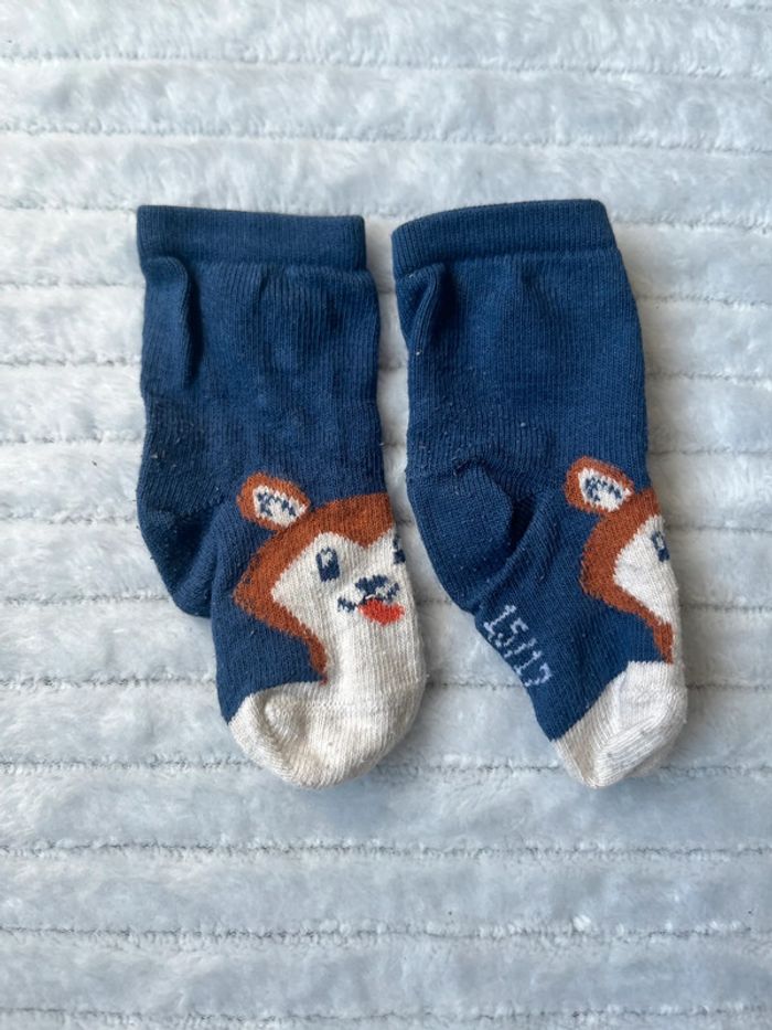 Lot de 5 paires de chaussettes TAO 15/17 - photo numéro 6