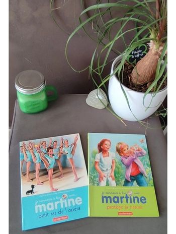 Lot 2 livres je commence à lire avec Martine