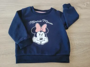 Pull Disney en 12/18 mois