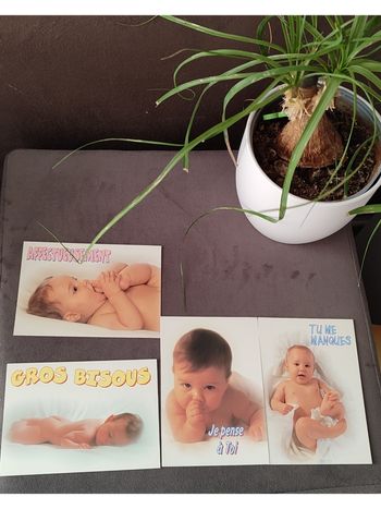 Lot de 4 cartes postales bébés