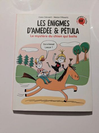 Livre '' Les énigmes d'Amédée & Petula ''