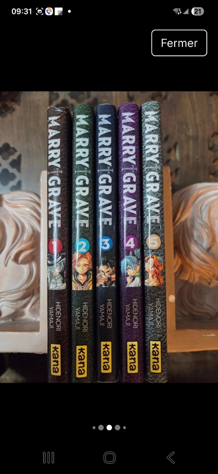 Collection comptete T1 à T5. Mary GRAVE - photo numéro 4