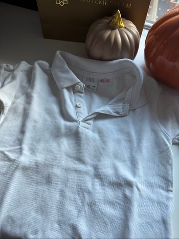 Polo Zara