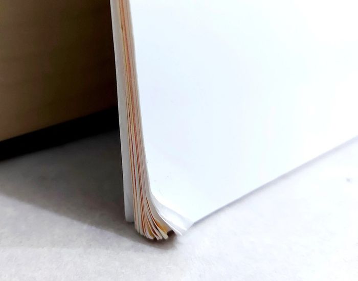 🌺 Livre (école des loisirs) : La panthère noire - photo numéro 6