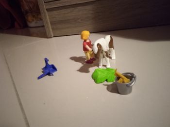 Playmobil 70416 enfant et son poney