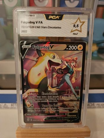 Fulgudog tg13 PCA 9.5