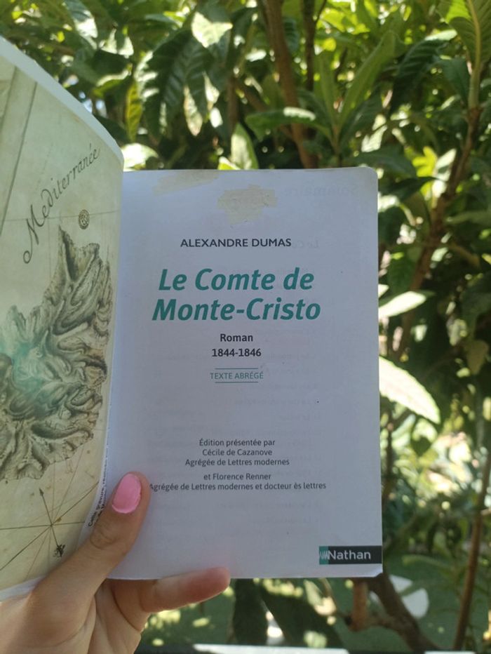 Livre le Comte de Monte-Cristo de Dumas. - photo numéro 5