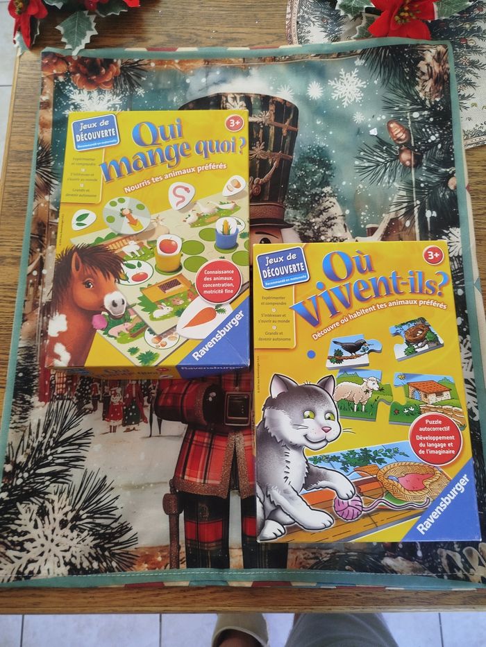 Lot de deux éducatifs