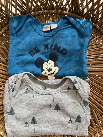 Lot de 2 bodies 24 mois