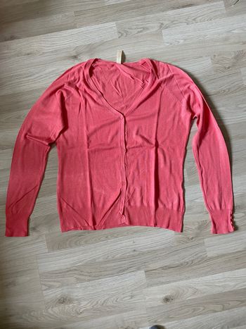 Gilet corail