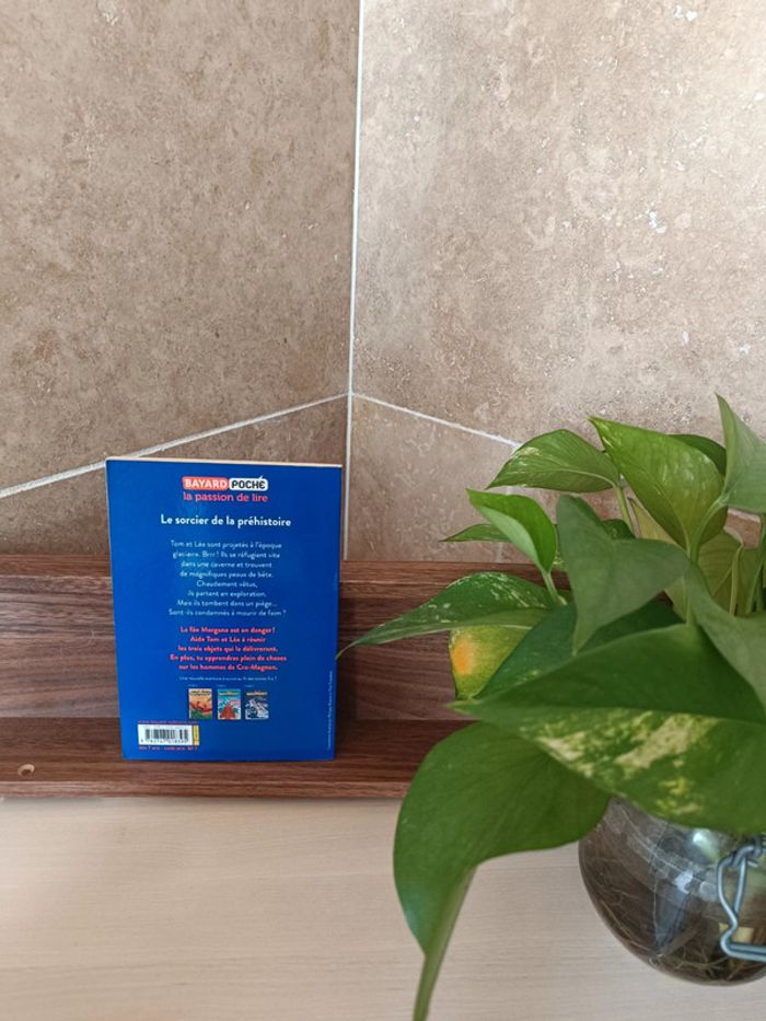 Livre la cabane magique - photo numéro 2