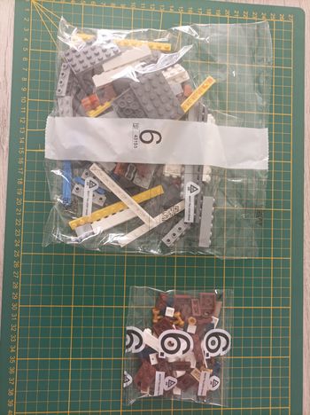 Sachet numéro 6 n°6 complet pour le set Lego Icons 10294 Le Titanic