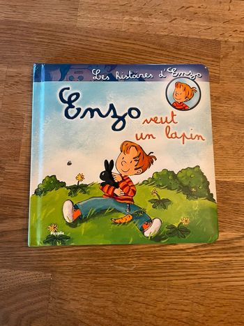 Livre Les histoires de Enzo Enzo veut un lapin  Piccolia