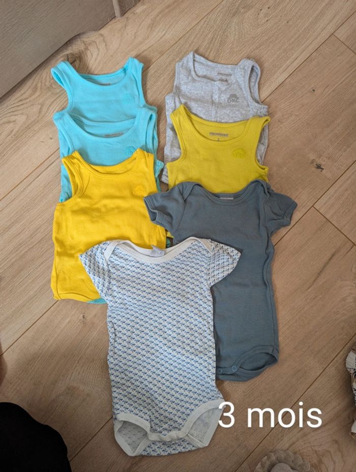 Lot de 7 bodys