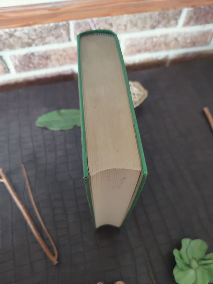 Le livre de San Michele - Axel Munthe - photo numéro 4