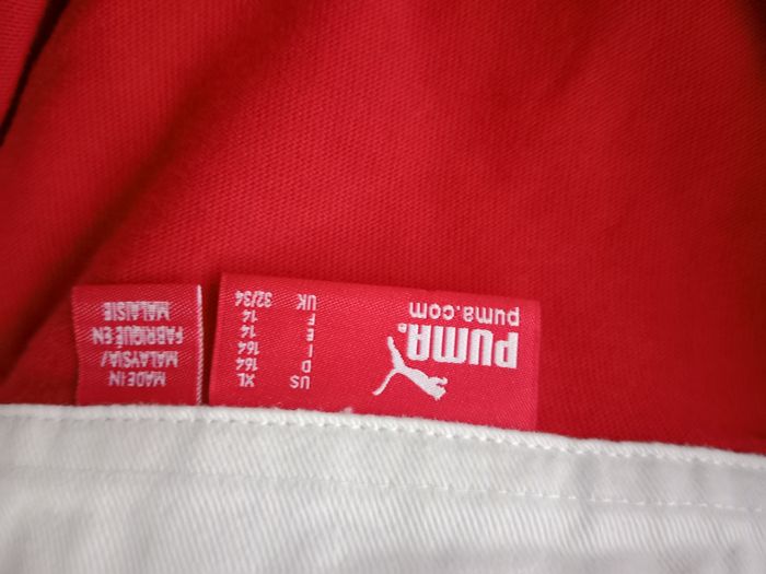 Polo puma 14 ans - photo numéro 2