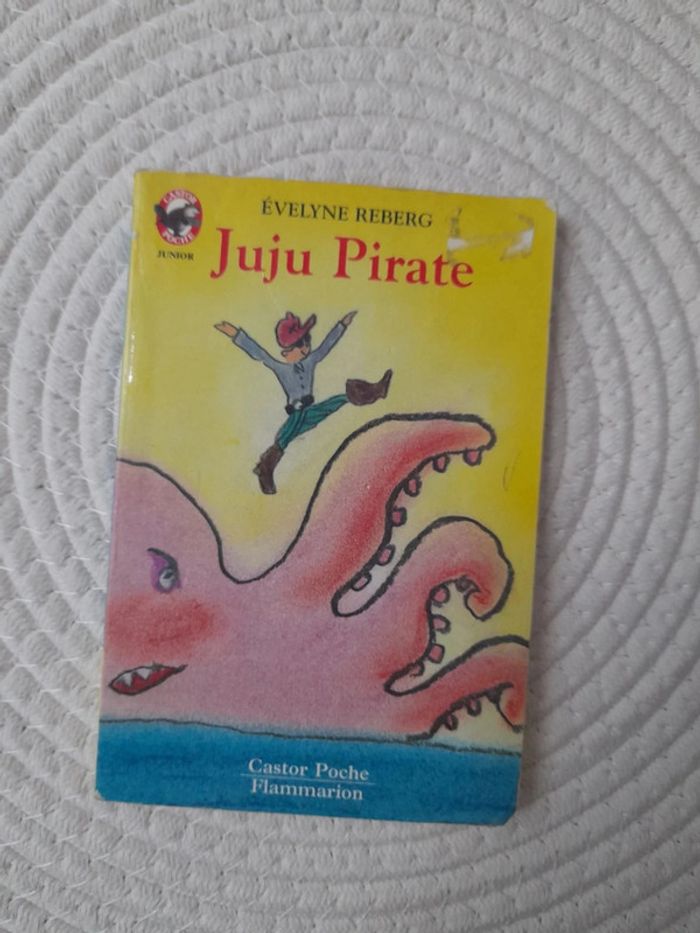 Livre Juju pirate