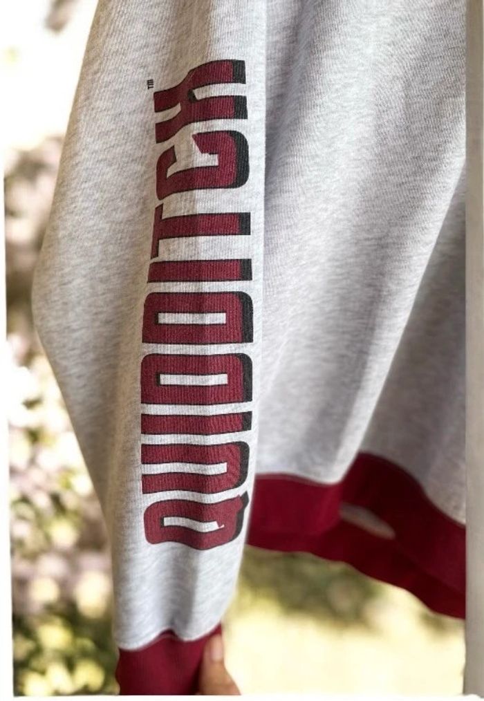 🎀Pull harry Potter de chez Jennyfer gris et rouge bordeaux taille S🎀 - photo numéro 7