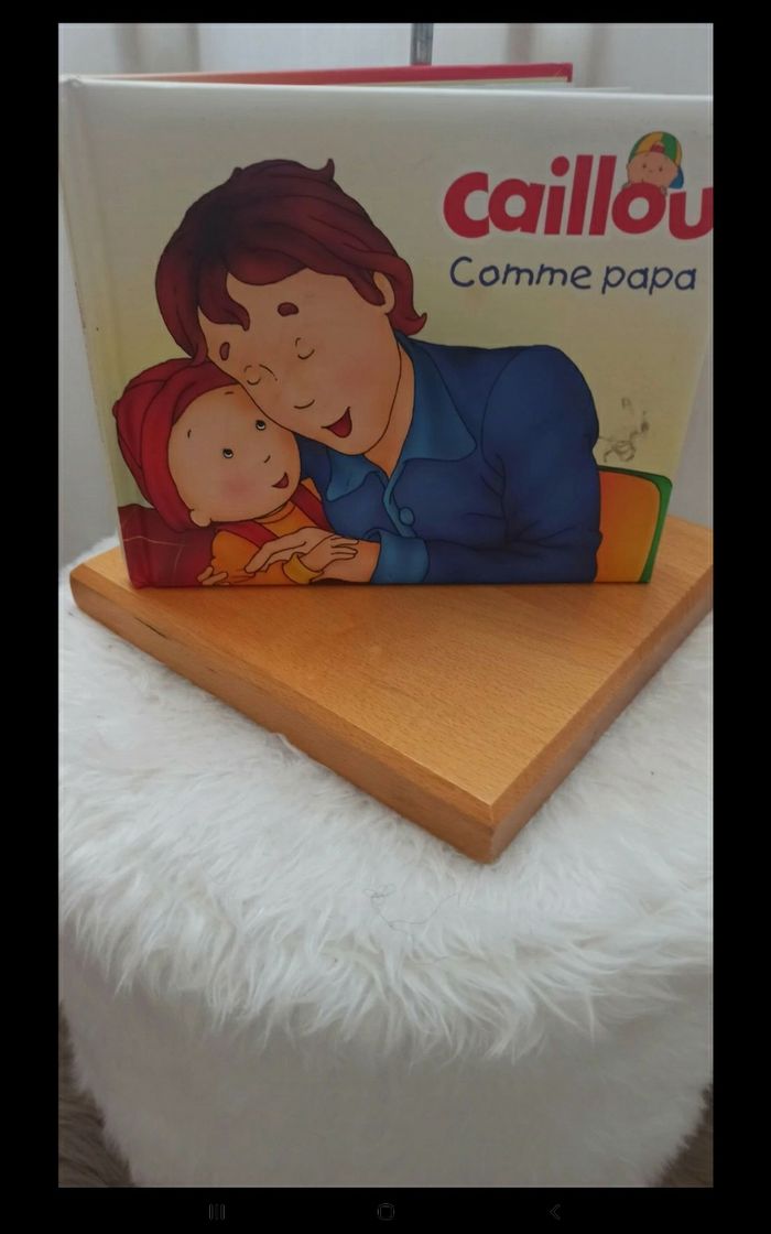 Livre caillou