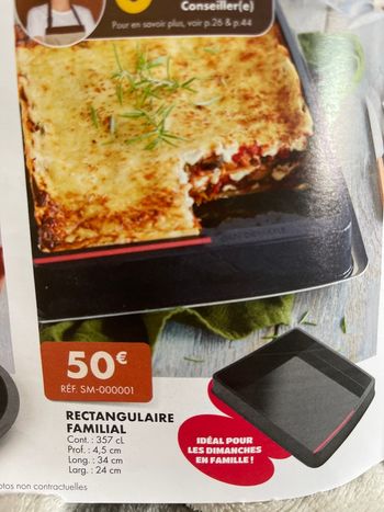 Moule rectangulaire familiale Guy demarle 