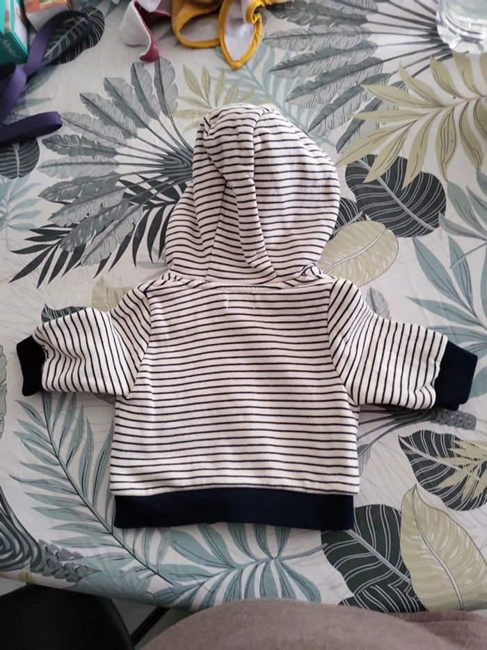 Veste rayures - photo numéro 4