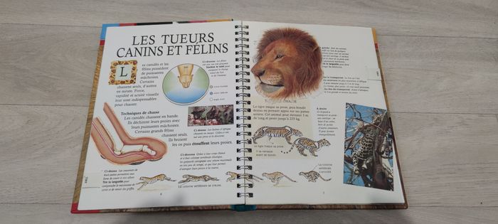 Livre - photo numéro 2