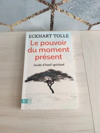 Livre poche spiritualité le pouvoir du moment présent guide éveil spirituel Tolle