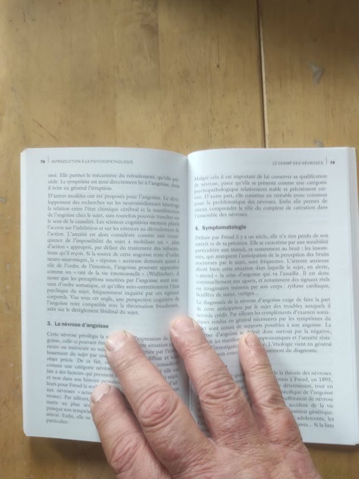 Introduction à la psychopathologie Jean Ménéchal Dunod 2002 - photo numéro 4