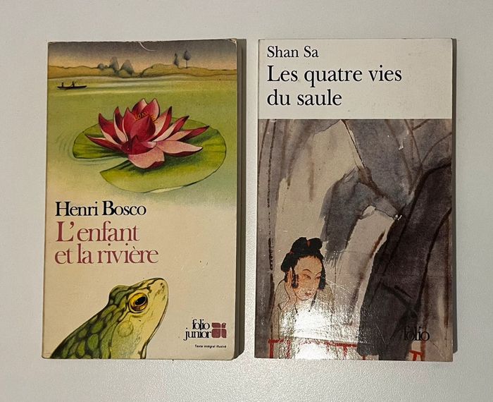 Les quatres vies du Saule / L’enfant et la rivière